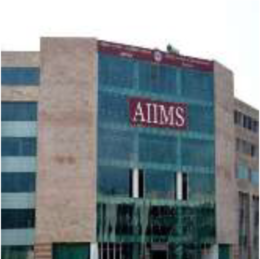 logo5